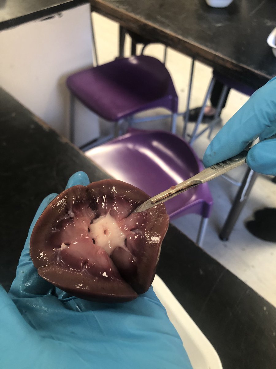 Amersham Science tweet media