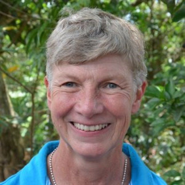 IIASAVienna's tweet photo. Check out this month's alumni newsletter featuring an interview with IIASA #Science Advisory Committee Chair Mary Scholes. @NRF_News https://t.co/ouUYrGraGa https://t.co/CUs39FVPJU