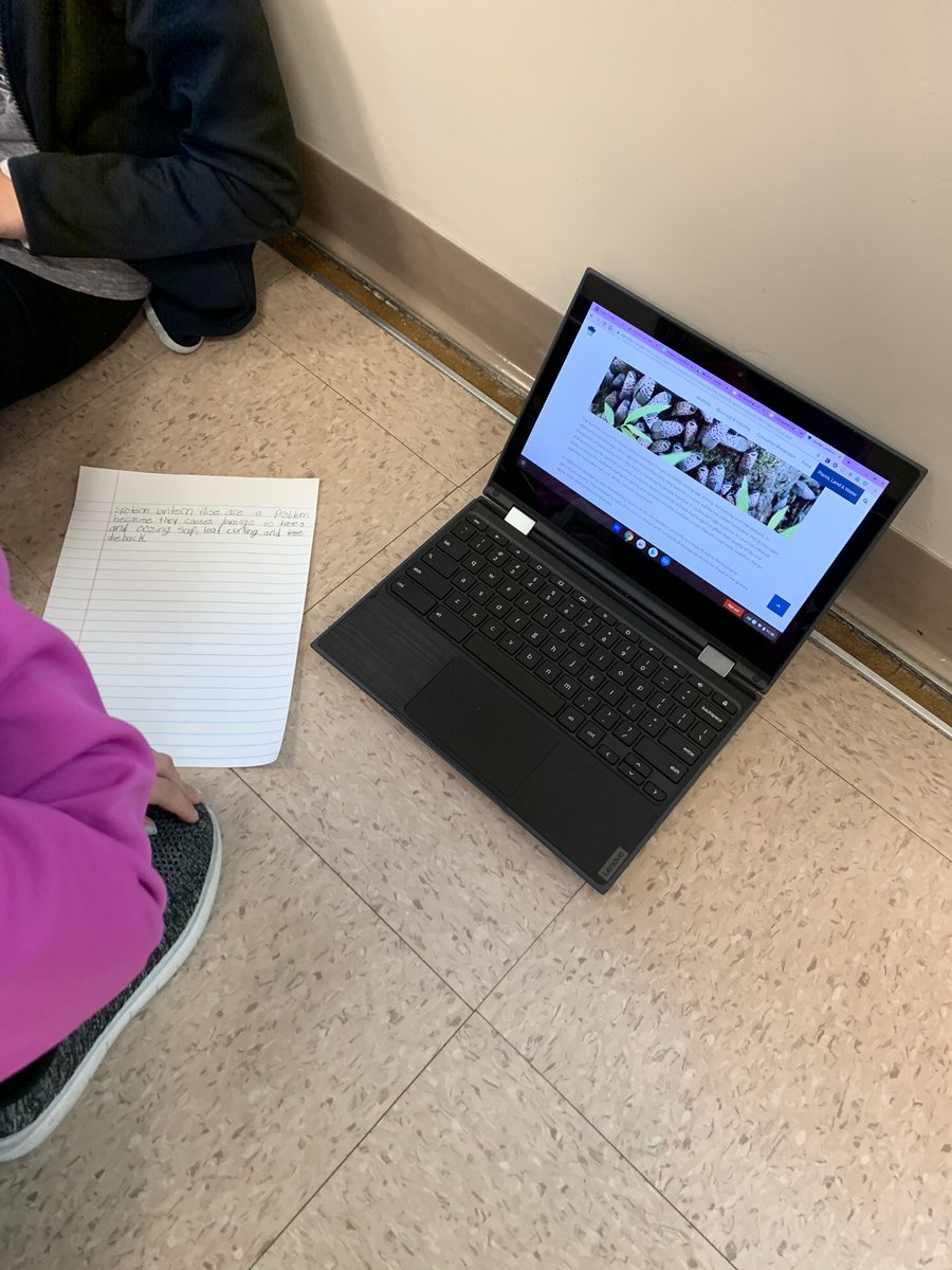 blose5thfoxes's tweet photo. Spotted Lantern Fly Project 2019 is underway! I am excited to see what this group creates! @FVFoxes @SLFPrevention @agsciences @StoryboardThat @Flipgrid https://t.co/gWNvltqCAN