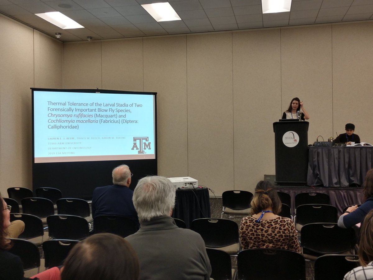 JACammack's tweet image. Another great talk by a @FliesFacility member, Lauren on thermal tolerance in blow flies! #forensicentomology @tamuentomology