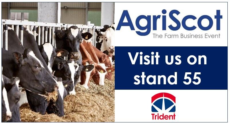 tridentfeeds's tweet photo. Heading to @AgriScot on Wednesday? Come and visit the team on stand 55 to grab yourself a hot drink as well as learn about the different feed options we have available this winter. https://t.co/LlMSVhTQec