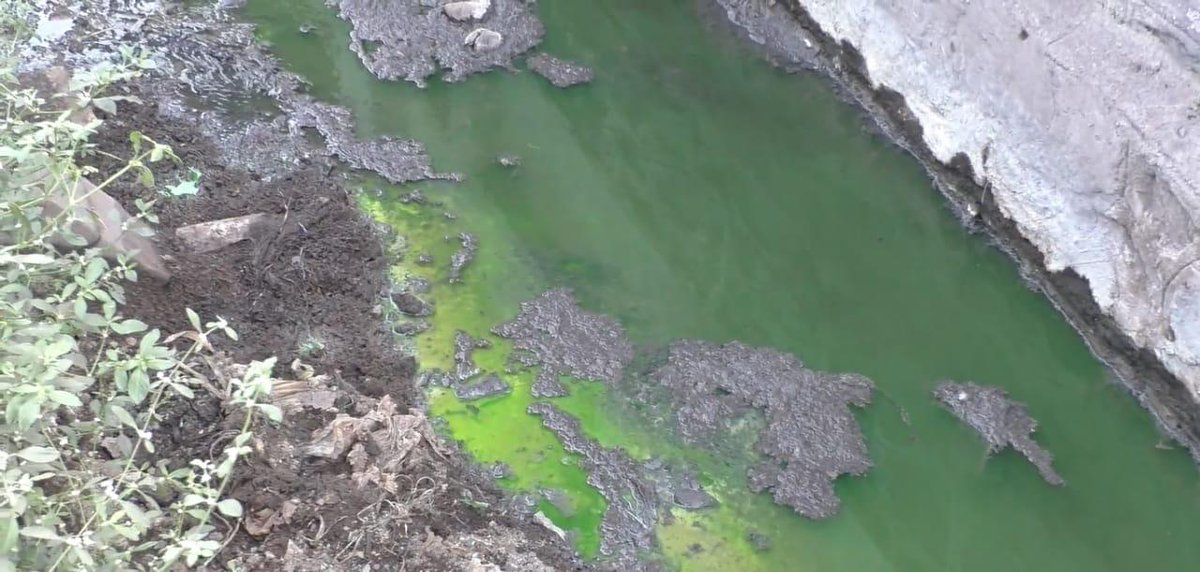 LNNNews1's tweet image. डोंबिवली एमआयडीसीतील नाल्यात प्रदूषित रंगीत पाणी* 
अधिक वाचण्यासाठी localnewsnetwork.in/contaminated-w…
#pollutionkills #pollution #pollutionissues