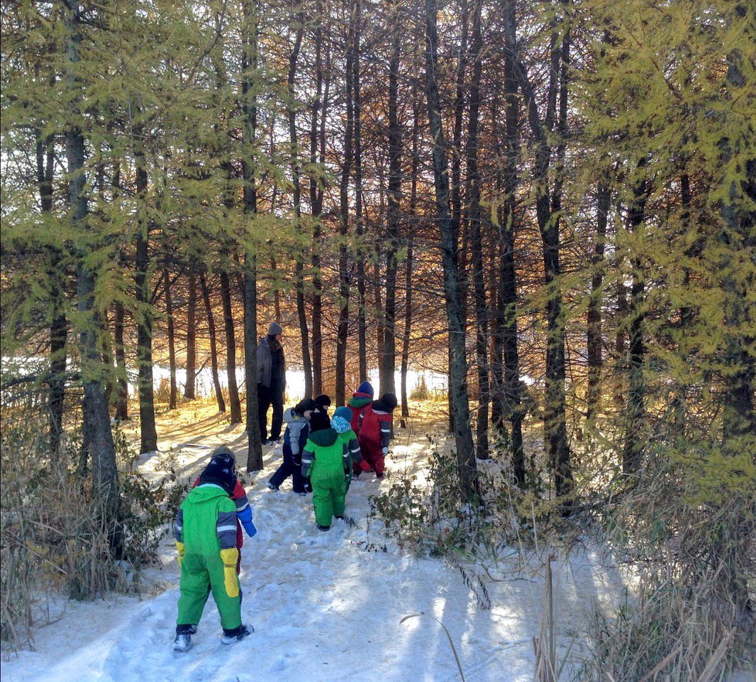AldoLeopoldNC's tweet photo. On Friday, the Chickadees had a wonderful morning exploring, discovering &amp; learning. FINALLY it wasn’t cold or wet. They hiked thru the prairie, along the pond, over the bridge to the Tamaracks, where they discovered a golden, magical world! 

#ALNP #NoChildLeftInside #WIEnviroEd https://t.co/YxVCSZG31n