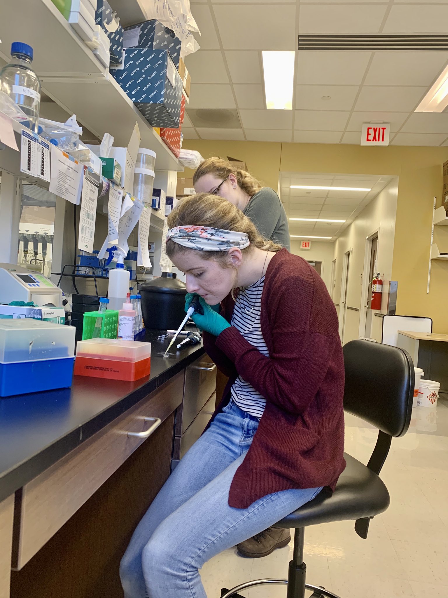 Meyer Lab on Twitter: 