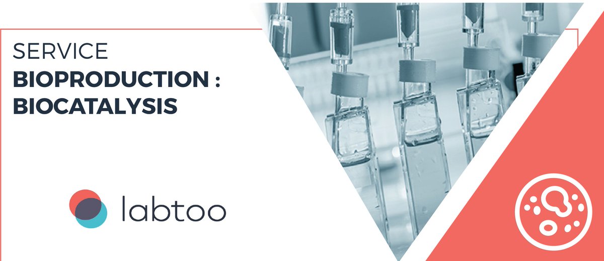 📌 Focus on one of our expertise: 

#Biocatalysis, also known as enzymatic catalysis or enzymatic transformation, refers to the use of #enzymes to accelerate chemical reactions.

Order your biocatalysis services on Labtoo and find the right Expert at 👉ow.ly/VSRj50xdZ0g