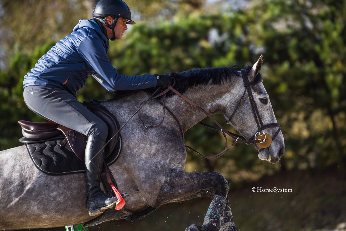 Jump into the new week like....🕺🏼

📷 Horsesystem