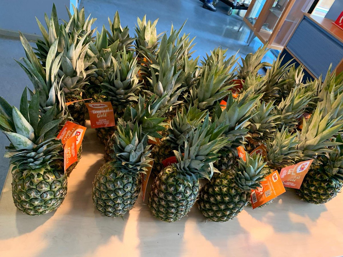 Gezond op De Ark! Vanuit het groente- en fruitprogramma van <a href="/EU_Schoolfruit/">EU-Schoolfruit</a> ontvangen we de komende twintiger weken schoolfruit! Op deze manier worden de kinderen gestimuleerd om samen in de klas groente en fruit te eten. 🍊 🥭 🍎 🍍