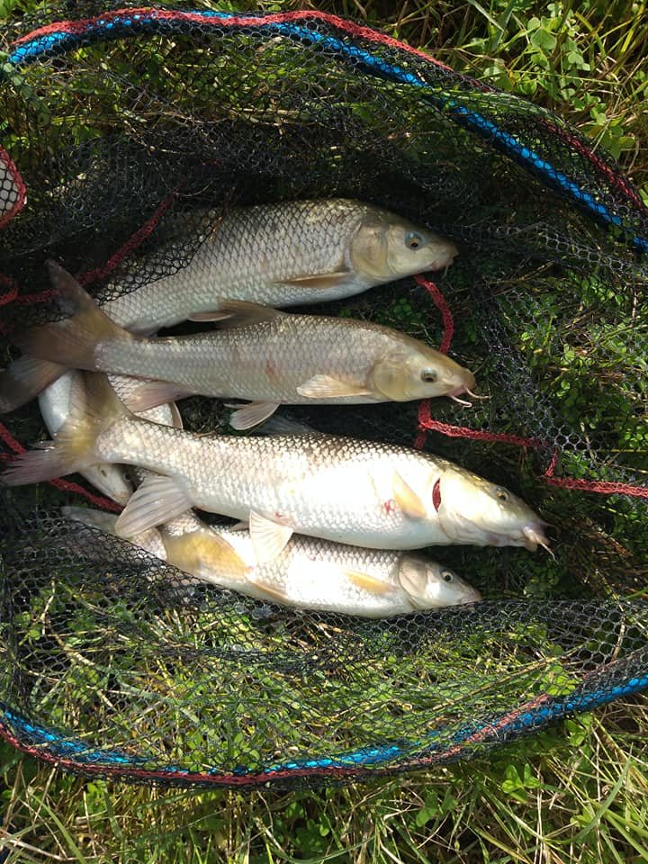BaderSurfcaste's tweet photo. Deuxième  Sortie Feeder Novembre 2019 #Bader_Pêche  #TEAM_LPA  #Feeder #Pêche  #SKIKDA https://t.co/IZsIGQPXvs
