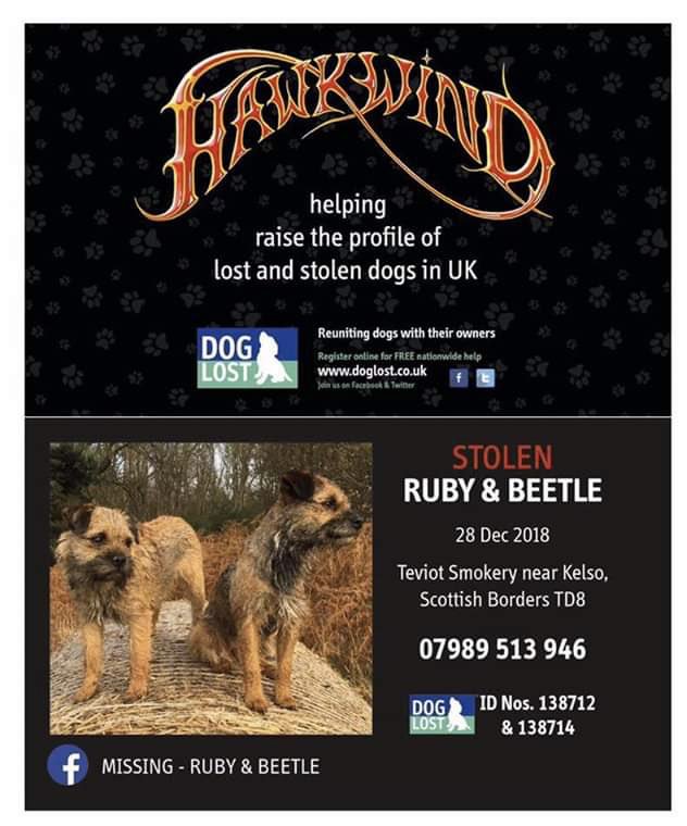 pettheftaware's tweet photo. @KerriMcGuire19 @Dr_Dan_1 Please see #FindRubyAndBeetle https://t.co/NA0omAPayj #stolendogs still missing from Scotland @thedogfinder https://t.co/tzSCaiq72c