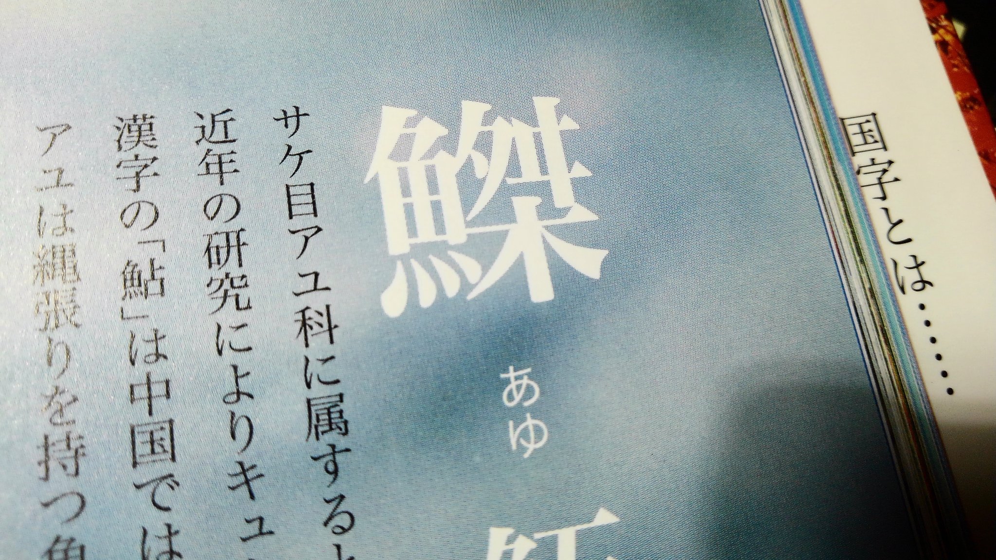 拾萬字鏡 他に 魚 毒 魚 戻 も最近の和製漢字資料にある台湾の方言字っぽい 魚 毒 は台湾語の辞典にも出てくるけど 何故か明治期の北海道の資料にも用例があって 台湾との関係があったのか 不思議な文字 Twitter
