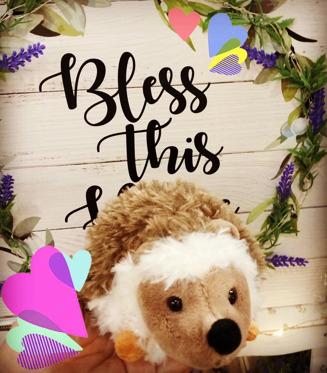 pagoniableu's tweet photo. Feeling so blessed today, thank you dear for dropping by to share your appreciation #pagoniableu #allthingslavender #feelingblessed #gratitude https://t.co/ISgEAhn5mt
