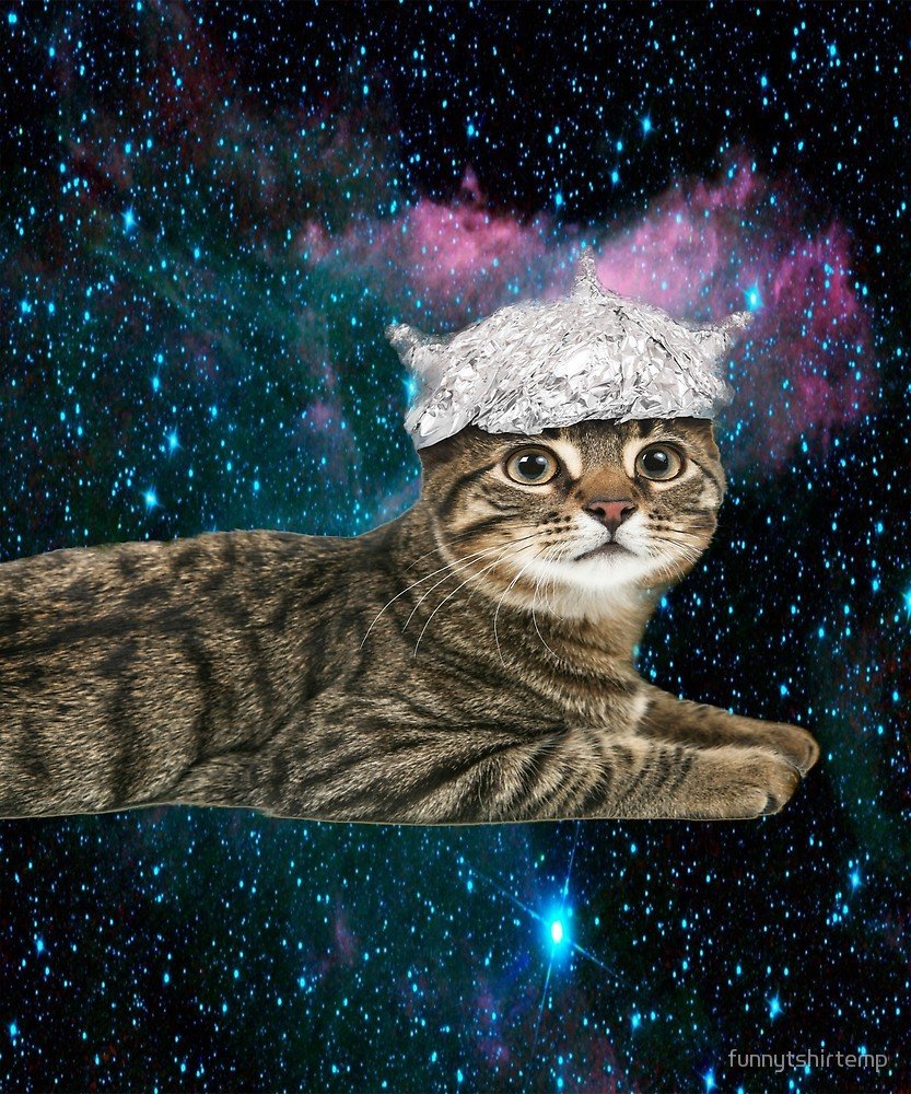 Кот с фольгой на голове