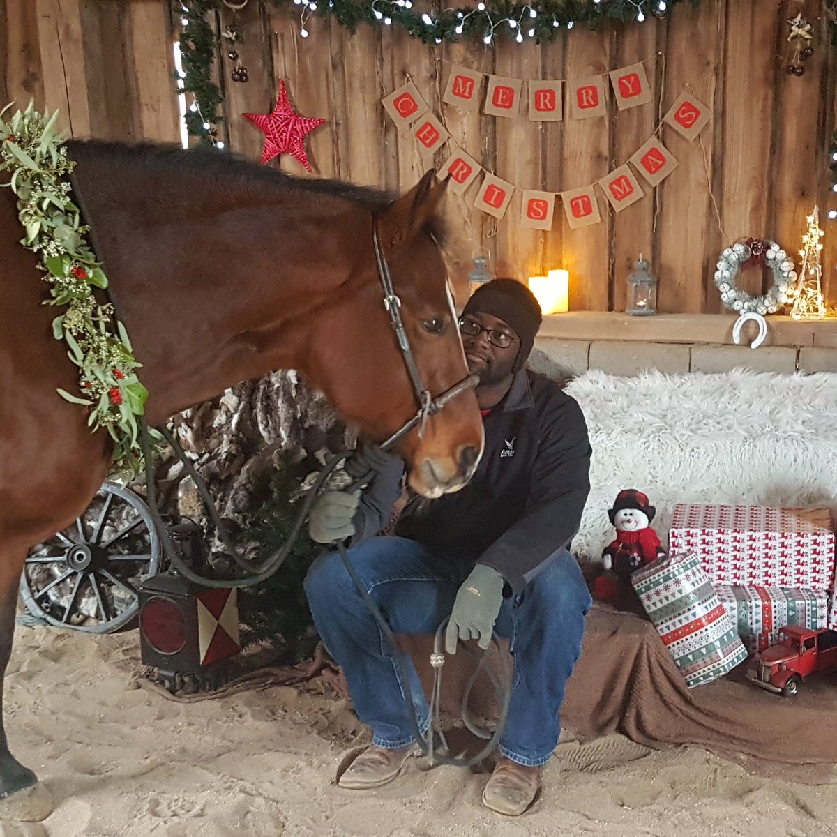 PerformanceVF's tweet image. "A penny for your thoughts."
Break time at the Christmas photo shoot.

#christmas #horses #familyphotography #holidayseason