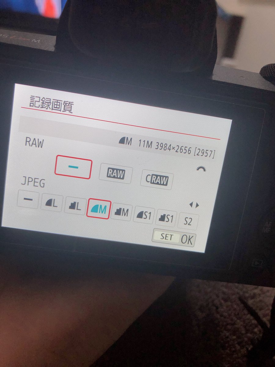 かずひこ على تويتر この表示だと C Raw は Jpeg Raw で他はどっちかだけ Jpegのとこは左に行くほど高画質 パソコンとかで明るさの調整とかするならrawだけど スマホのアプリとかで加工するならjpegだけでもって感じかな