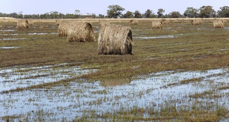 The #FarmingRecoveryFund has been extended to offer funding to farmers affected by the recent flooding in #Yorkshire & #TheMidlands.  It allows farmers to allow for between £500 & £25,000 to cover non-insurable items.  Details will be available soon. tinyurl.com/rddfyhw