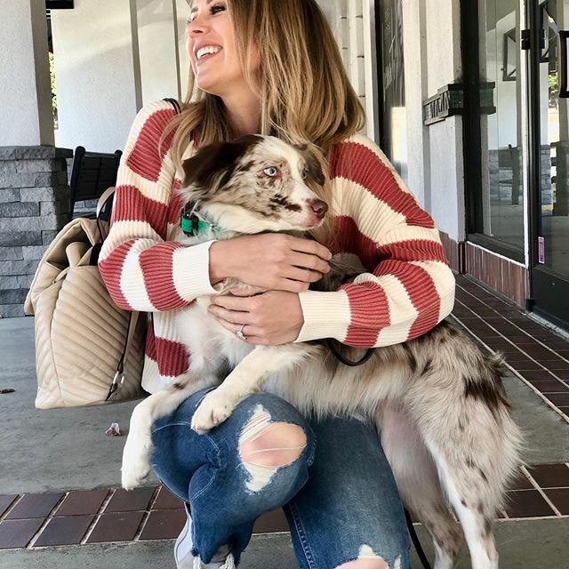 Sweater ✔️ Jeans ✔️ Purse✔️ Ellie dog✔️✔️ ift.tt/3429ros