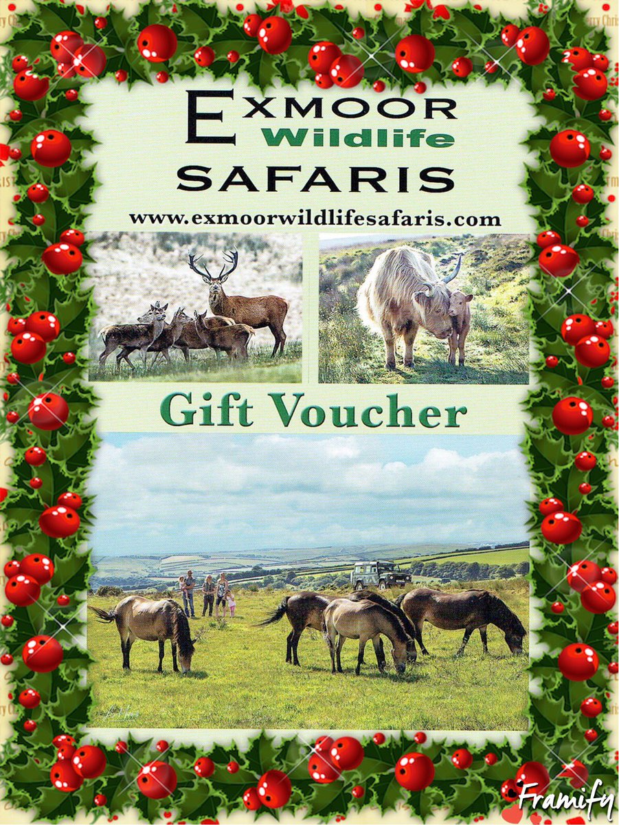 Its that time of year again!! 🙂 #ChristmasIsComing So if you’re looking something a little different this year for your #family and #friends look no further. Our #vouchers are available as 3 hr or 6 hr #Safaris More information on our Website exmoorwildlifesafaris.com