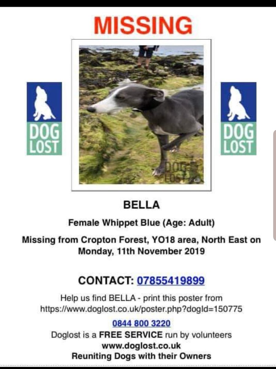 Rosie Doc tweet media