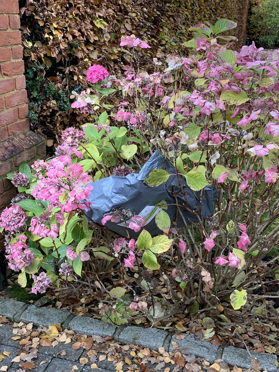 h_alison's tweet image. @Hermes @Accessorize for the 2nd time in less than a week - you don’t even bother ringing the bell - you just throw the parcel over the gates!!!  Thanks #uselessservice