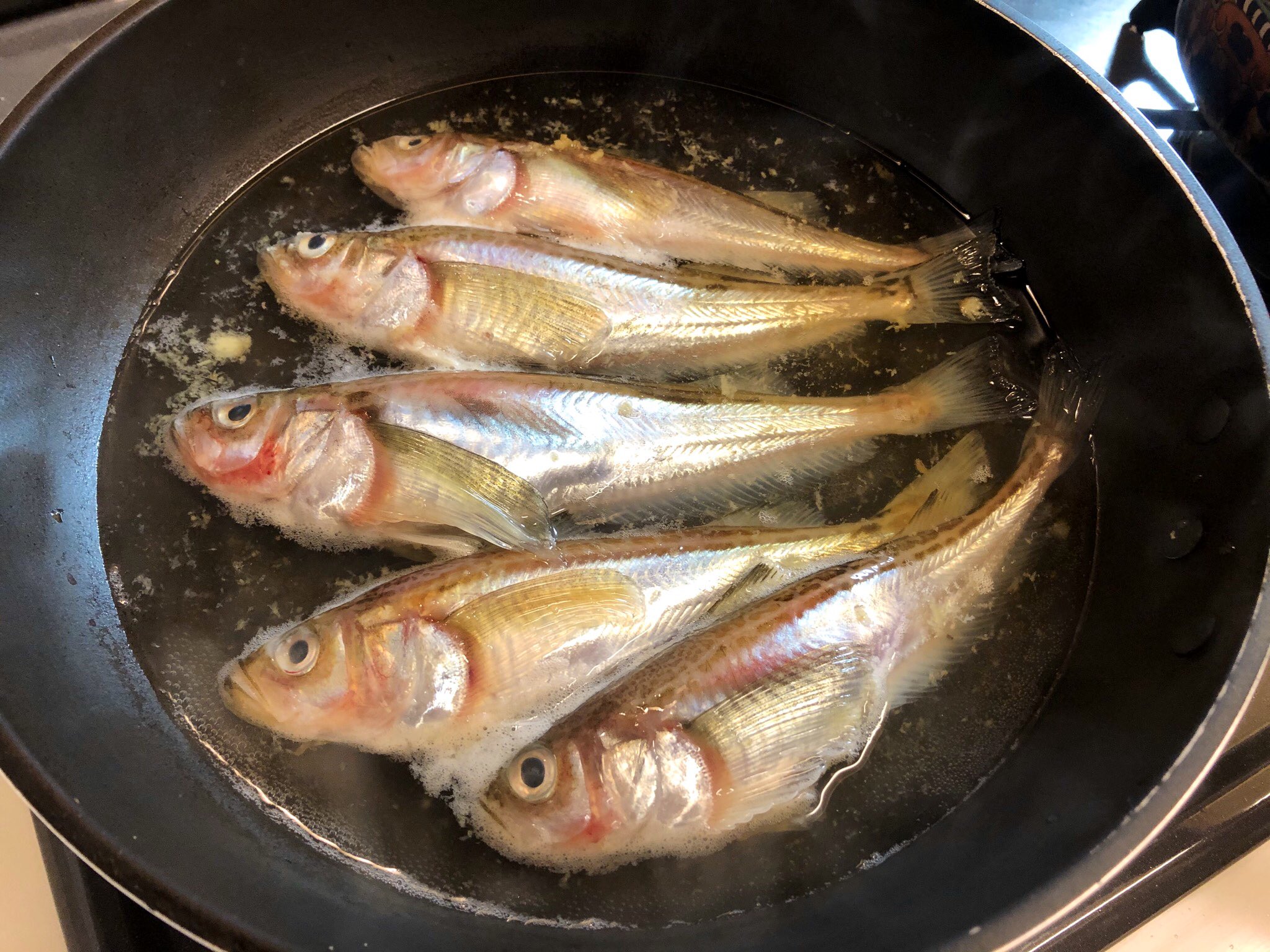 おりえ 秋田県産ハタハタの煮付け T Co Gvemzwqbpi Twitter