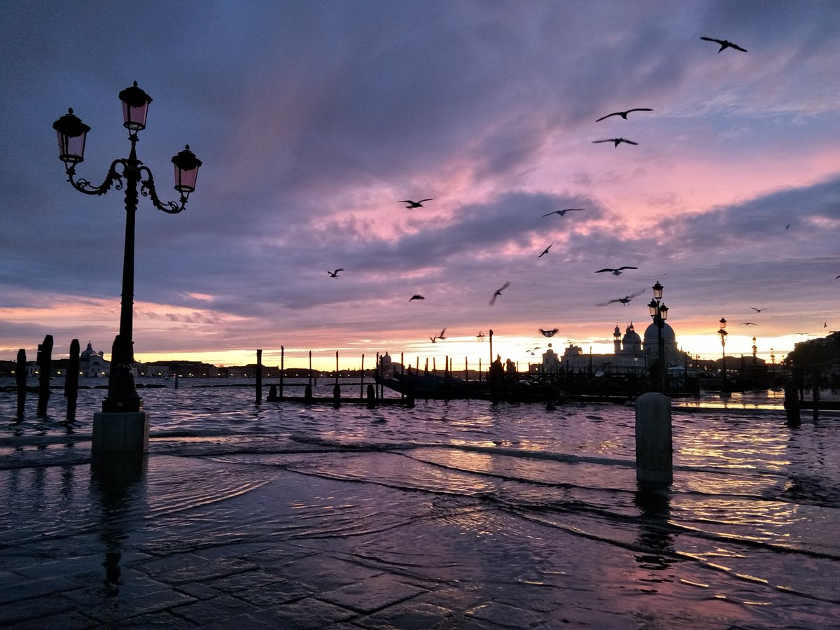Jessica_Row's tweet image. After the flood... #venice #veniceflood #veniceaquaalta #aquaalta #veniceaquaalta