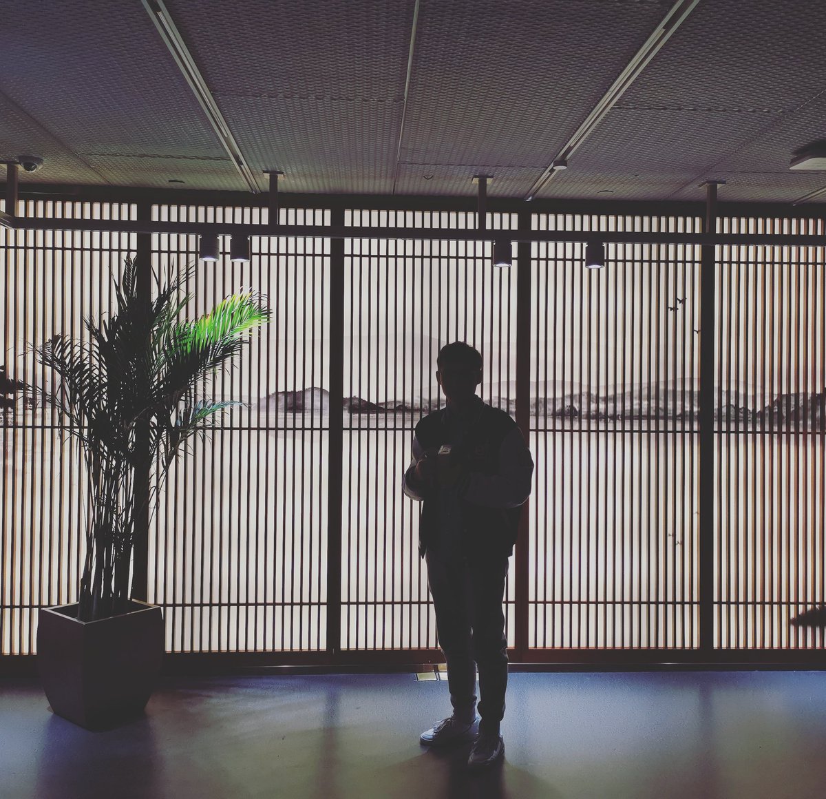 图书馆熄灯以后有点好看！