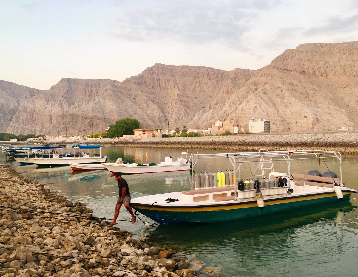joey_squishfish's tweet photo. Always a pleasure to revisit old haunts. The @NYUAbuDhabi Bioblitz continues in Khasab, Oman (@AlyssaMarshell). Despite working in the specter of lightning storms we got it all done. More on #eDNA and #cryptobenthic #reeffishes tomorrow @buzzgoatley @CokerDJReefFish @remiketchum https://t.co/9sloBvBZrf