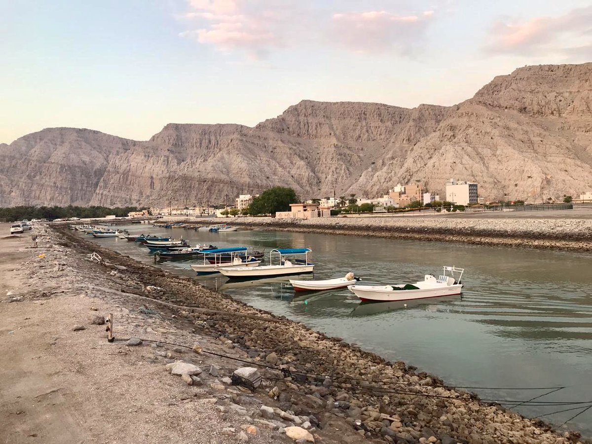 joey_squishfish's tweet photo. Always a pleasure to revisit old haunts. The @NYUAbuDhabi Bioblitz continues in Khasab, Oman (@AlyssaMarshell). Despite working in the specter of lightning storms we got it all done. More on #eDNA and #cryptobenthic #reeffishes tomorrow @buzzgoatley @CokerDJReefFish @remiketchum https://t.co/9sloBvBZrf