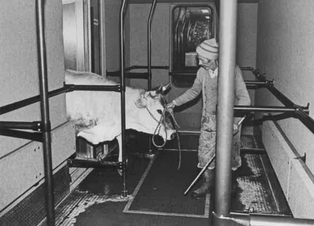 De metro in Serfaus is helemaal gemoderniseerd! Een indrukwekkend staaltje werk wat voor een heerlijk verkeersluw centrum zorgt. (ad) wintersport.nl/weblog/bericht…