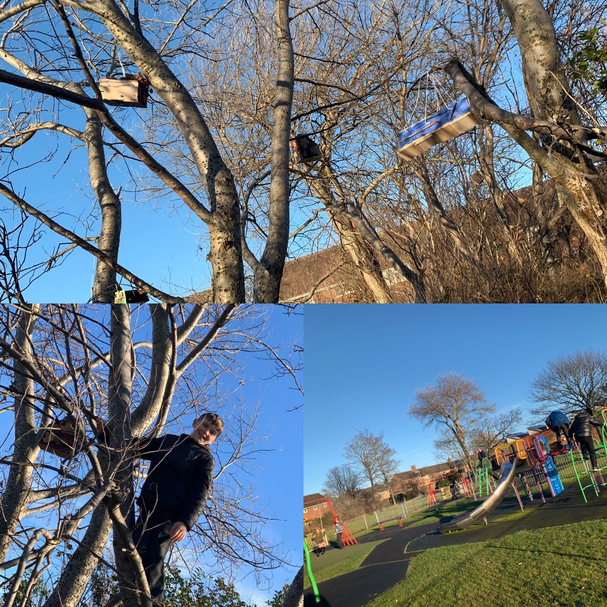 MeresideYear56 (@meresideyear34) on Twitter photo Enjoying a few minutes play time now that we’ve done the hard work to #SavetheWorld and put up our bird boxes #forrestschool #schooldesignandtechnology <a href="/ICT_MrP/">Mr P MBE</a> <a href="/BpoolCouncil/">Blackpool Council</a> <a href="/MeresidePrimary/">Mereside Primary Academy</a> Enjoying a few minutes play time now that we’ve done the hard work to #SavetheWorld and put up our bird boxes #forrestschool #schooldesignandtechnology <a href="/ICT_MrP/">Mr P MBE</a> <a href="/BpoolCouncil/">Blackpool Council</a> <a href="/MeresidePrimary/">Mereside Primary Academy</a>