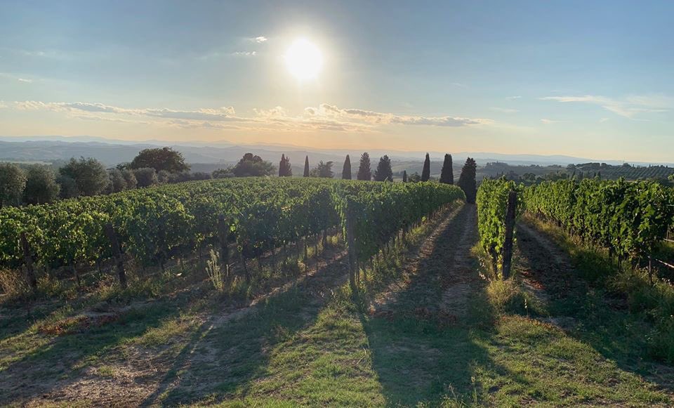 Study in Italy tweet media