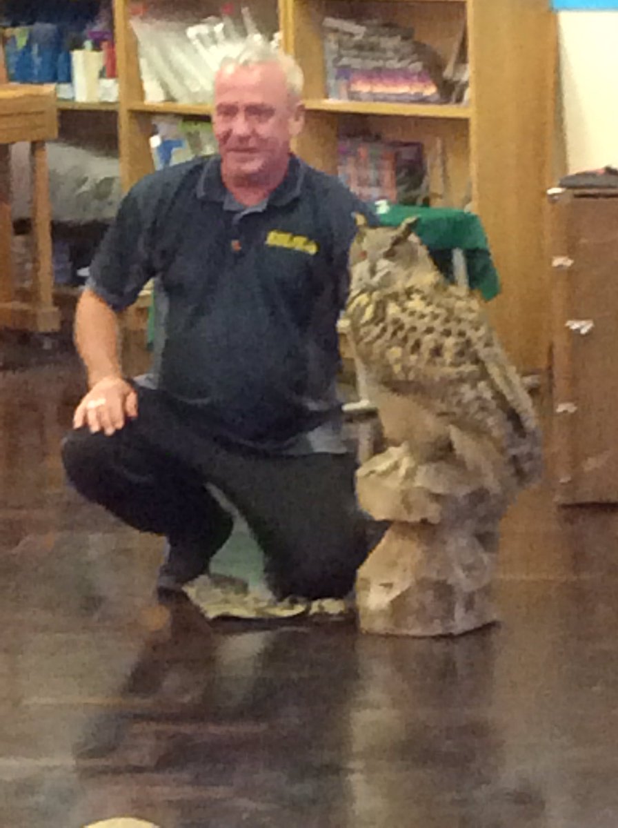 battyefordEY's tweet photo. More fun with the owls @Battyeford #wiseowlrescue https://t.co/f9urixux7V