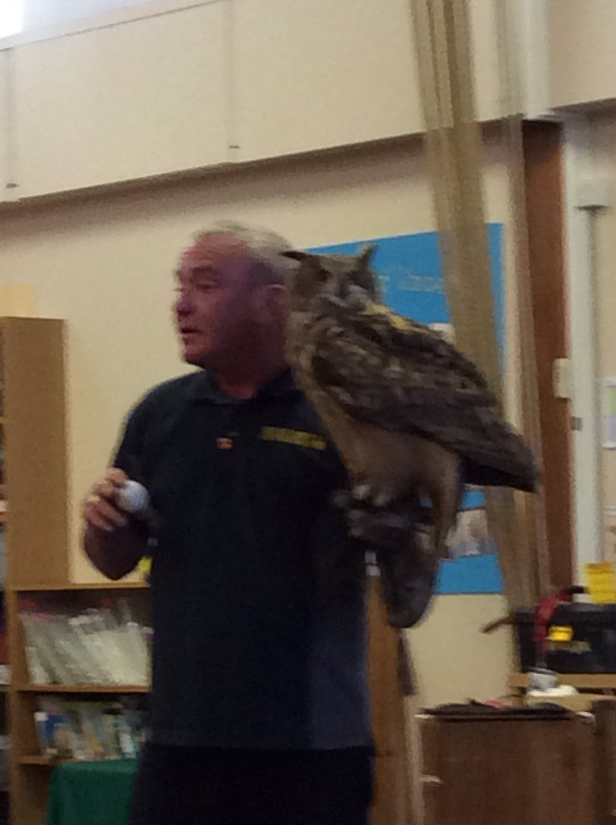 battyefordEY's tweet photo. An amazing afternoon spent with the owls. We’ve learnt new facts, had them swoop over our heads and had a photo with Orville, a Little Owl. https://t.co/N6KtvirPbX
