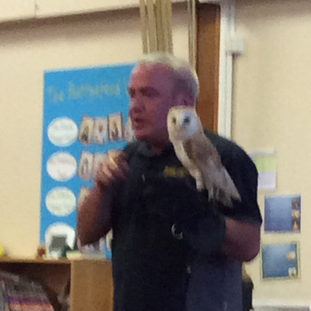 battyefordEY's tweet photo. An amazing afternoon spent with the owls. We’ve learnt new facts, had them swoop over our heads and had a photo with Orville, a Little Owl. https://t.co/N6KtvirPbX