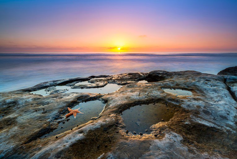 DelSolMagazine's tweet image. Encounter Life Under the Sea in Local Tide Pools delsolmagazine.com/2019/11/18/enc…