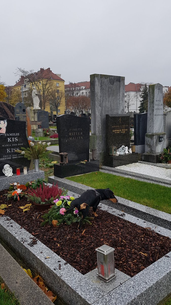 nice_centurion's tweet image. 🎃🇺🇸 🧟‍♂️🧟‍♀️🧟‍♂️🧟‍♀️🧟‍♂️🧟‍♀️🧟‍♂️🧟‍♀️🧟‍♂️🧟‍♀️🧟‍♂️🧟‍♂️🧟‍♀️
#doggie #Dog handles #grave
matters ❗
🧟‍♀️🧟‍♂️🧟‍♀️🧟‍♂️🧟‍♀️🧟‍♂️🧟‍♀️🧟‍♂️🧟‍♀️🧟‍♂️🧟‍♀️🧟‍♂️🧟‍♀️ 🇺🇸🎃