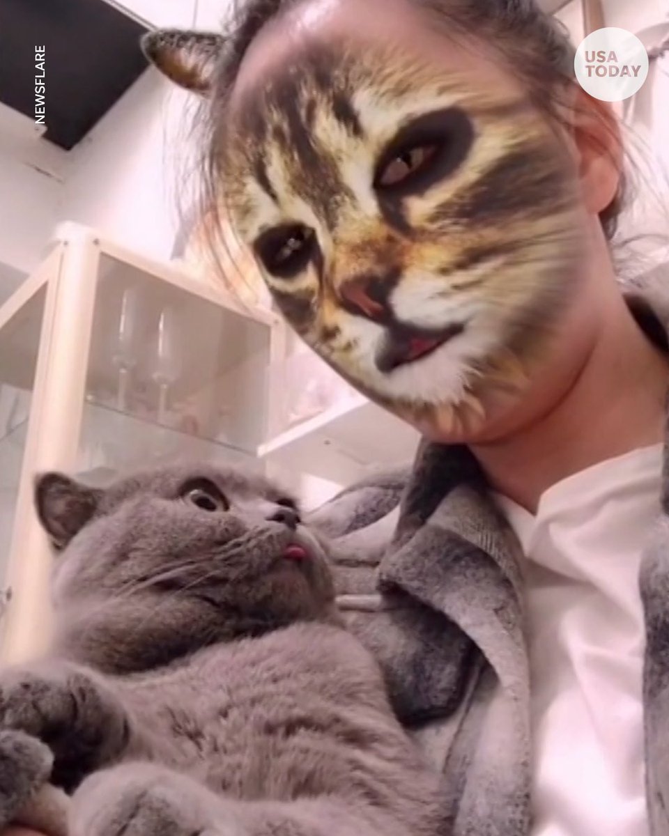 猫顔アプリ で猫になっちゃった飼い主さんにビックリする猫さんの表情がかわいすぎ Togetter