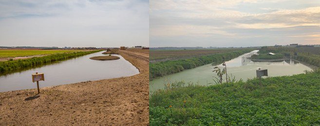 Bioversiteit in de Bollenpolder van de Toekomst.
De Hogeveense polder draagt sinds één jaar de eretitel 'Bollenpolder van de Toekomst'. Vertegenwoordigers van bollentelers, overheid en natuurorganisaties werken samen aan een duurzame polder.

Lees verder: rijnland.net/actueel/nieuws…