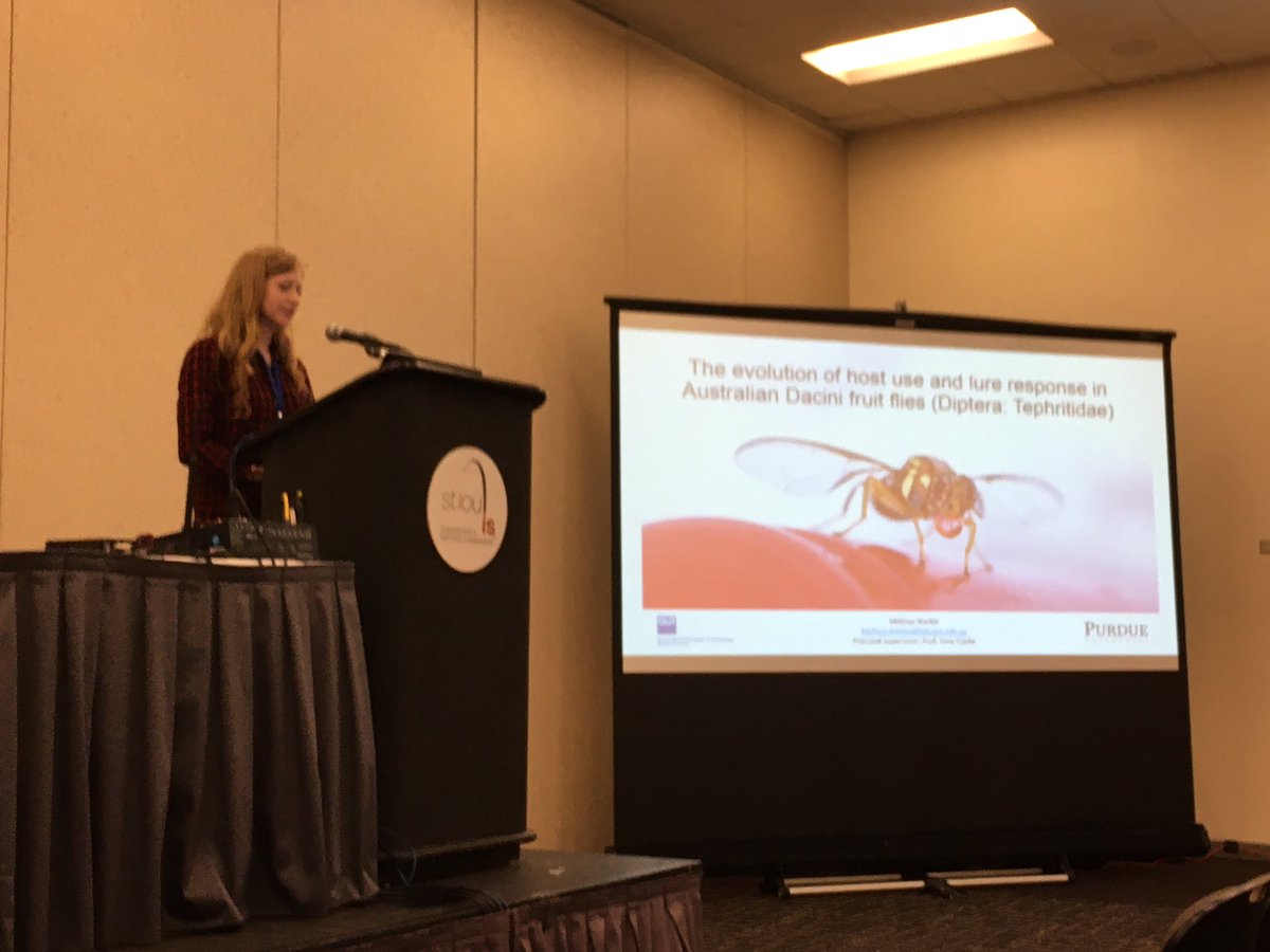 Melissa Starkie on Australia’s fruit fly radiations!