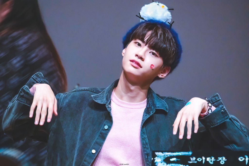 둥뽀🐿 tweet media