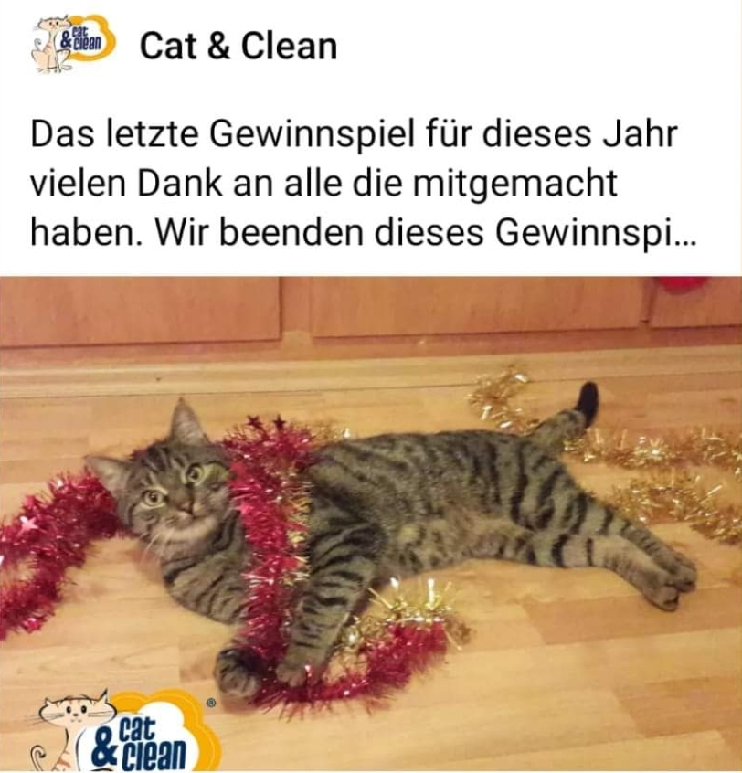 🎄Adventswunsch vom Töchterchen: bitte, bitte ein Like bei Facebook für unseren Familienkater Kirk, der mit den wahren Modellfähigkeiten 😍😍😍. Er hat es soooooo sehr verdient!!

m.facebook.com/story.php?stor…