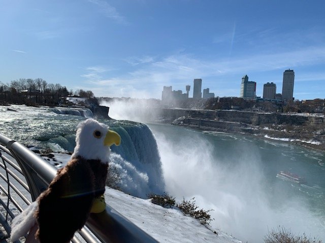 jtwkindereagles's tweet photo. Evan's @jtwkindereagles next stop was @NiagaraFallsUSA! He visited Niagara Falls State Park and even made a friend along the way! @JohnTWaugh1 @LakeShoreCSD  #kindereagles #edtechlsc #digcitcommit https://t.co/PChshDJFiv