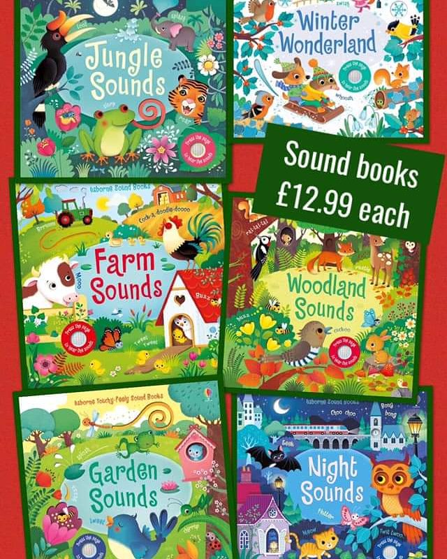 Sound Books! Amazing to help children explore the sounds of different locations. #soundbooks #noisybooks #nosiygiftsarethebest #booksmakethebestgifts #booksforall