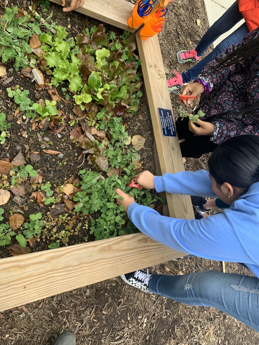 HM Mrs. Johnson tweet media