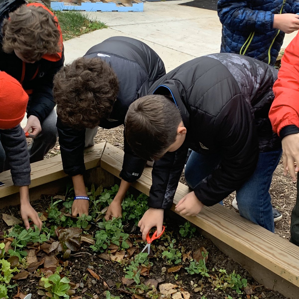 HM Mrs. Johnson tweet media