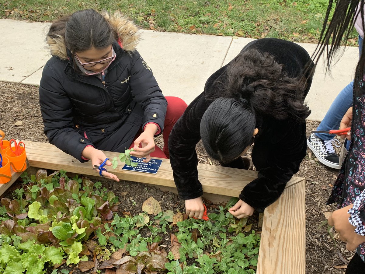 HM Mrs. Johnson tweet media