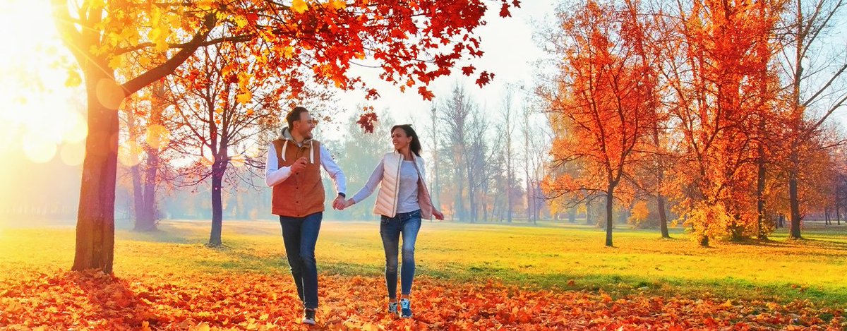 Bay State Physical Therapy-Burlington tweet media