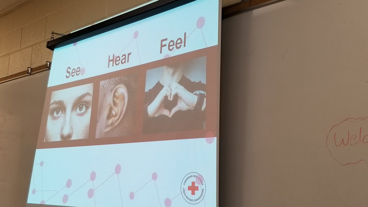 Tara Trowsse-Vagg tweet media