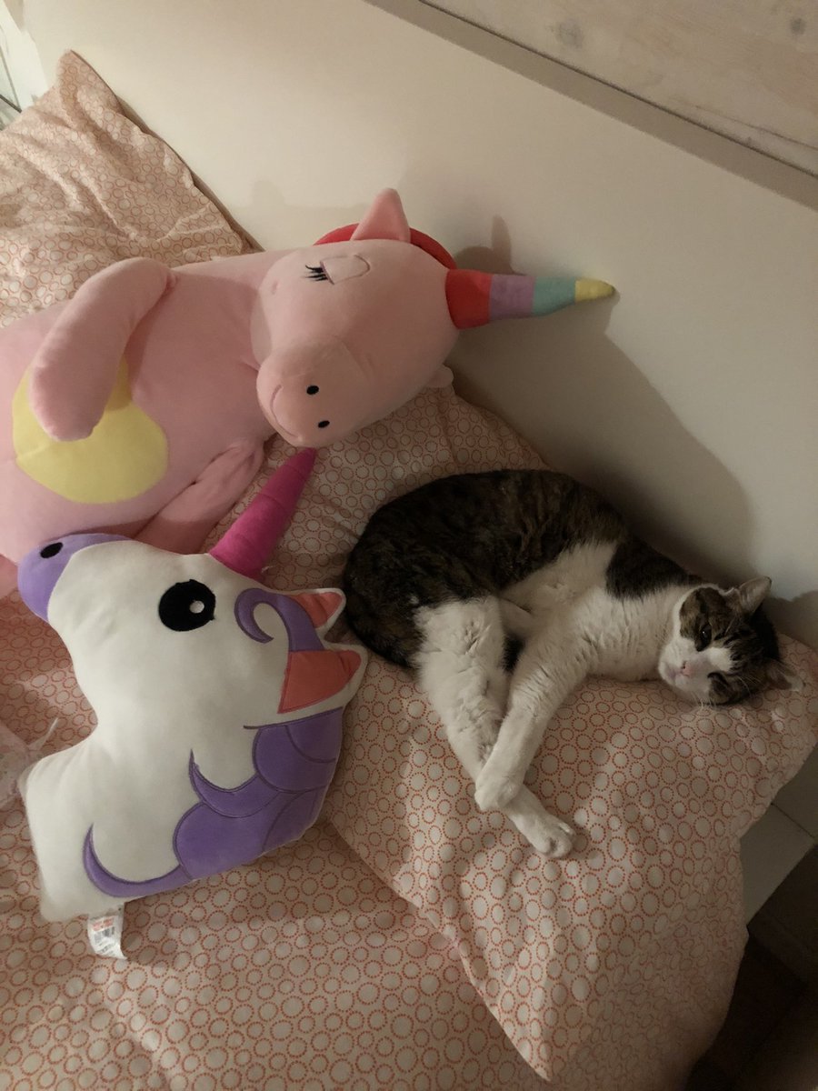 #TrueInstinctIT love unicorn