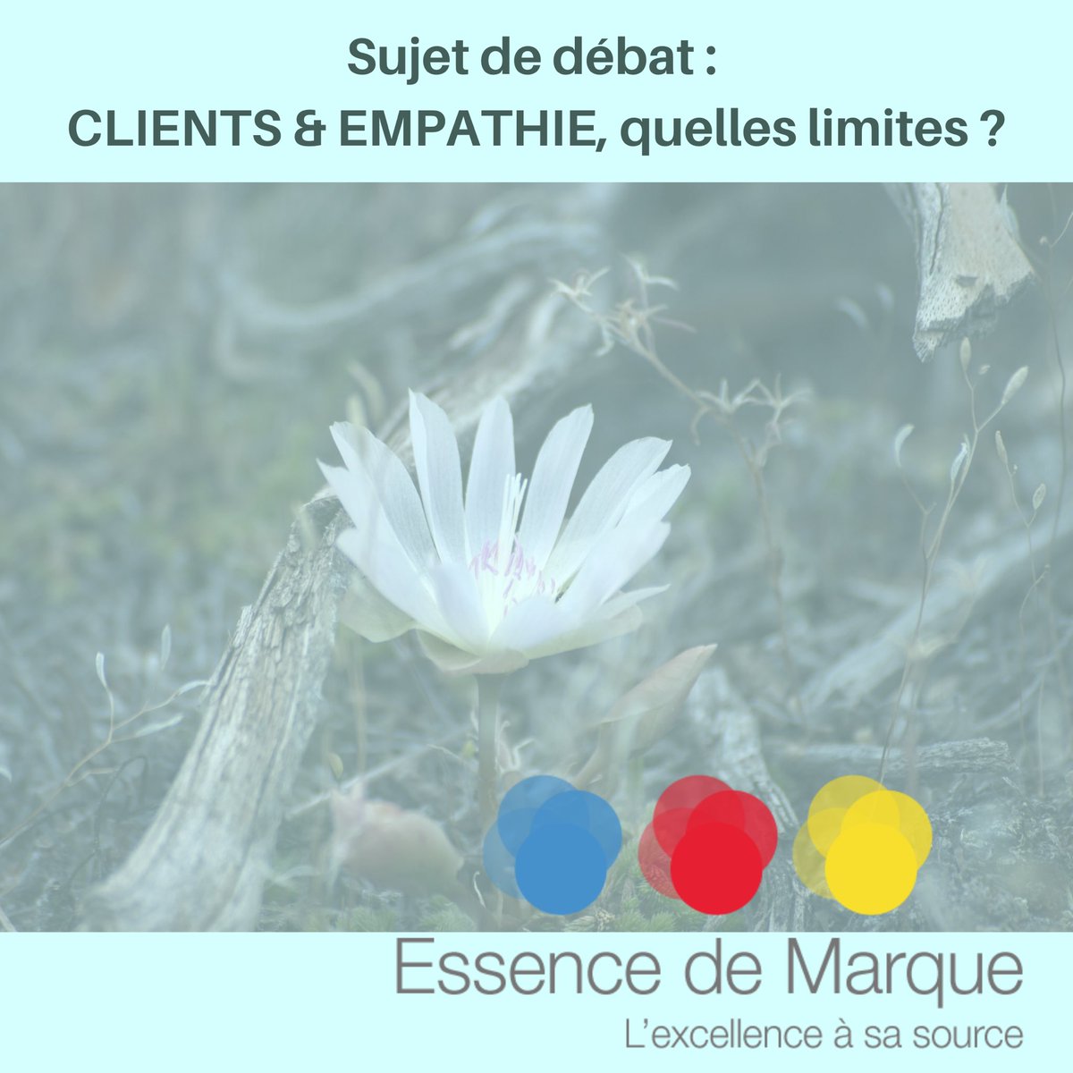 EssenceMarque's tweet photo. #débat : #empathie et #relationclient, quelles limites fixez-vous ? #essencedemarque #formation #coaching #atelier #Lyon https://t.co/G6ZCdu4ya9
